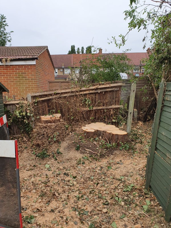 Complete Tree Removal in Greenford