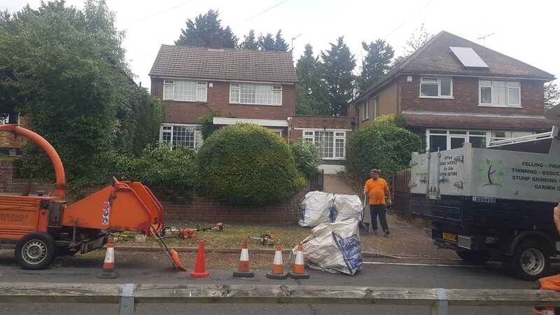 hedge Trimming in Rickmansworth
