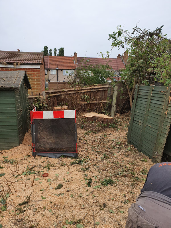 Tree Stump Removal in Greenford