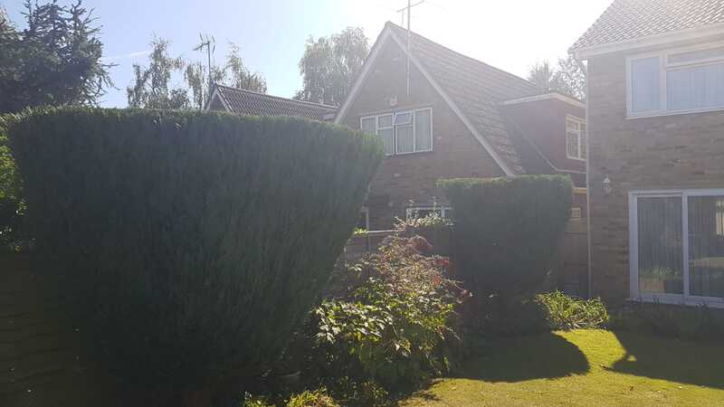 hedges trimmed in Rickmansworth West London
